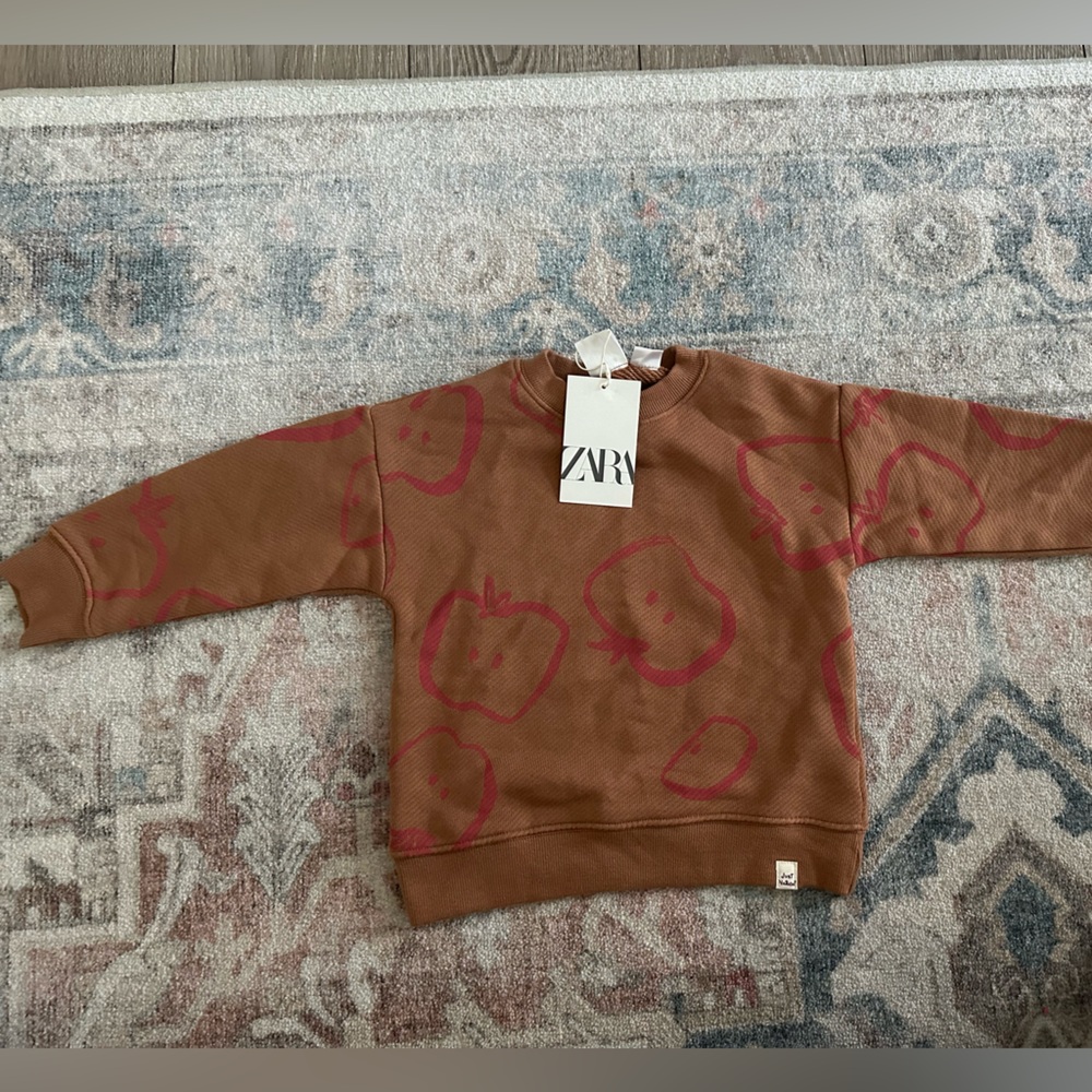 Zara pullover sweater